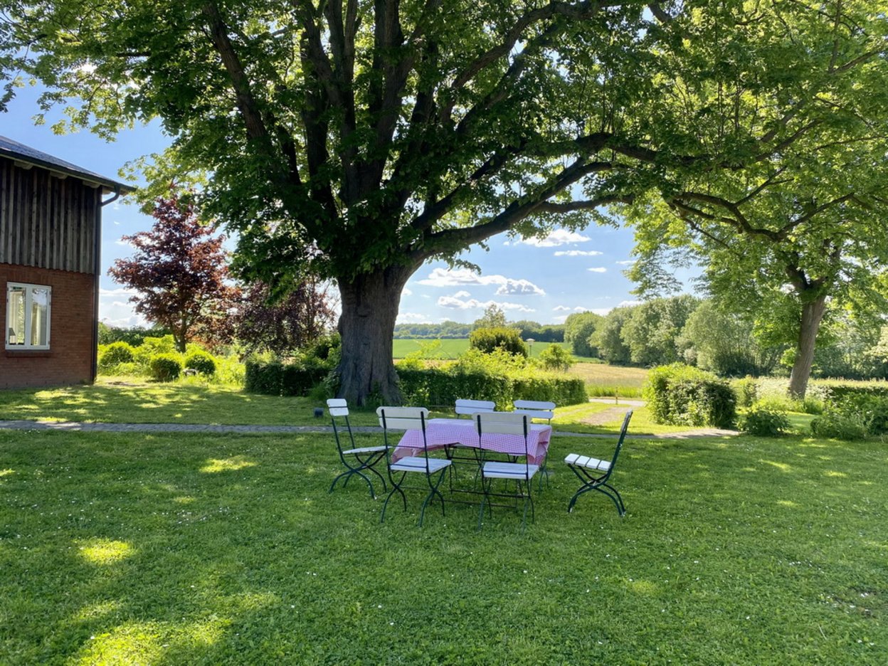 Cafétisch im Garten auf der grünen Wiese vor einem großen Baum